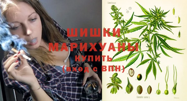 дурь Горно-Алтайск